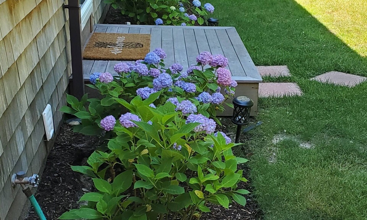 Nantucket Cottage | Hidden Treasure