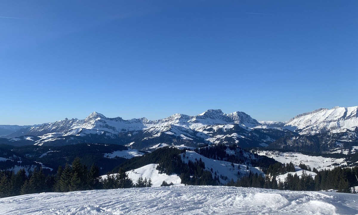 Notre-Dame-de-Bellecombe Ski Chalet | high-end chalet of 320 m2 sleeps 18 with spa