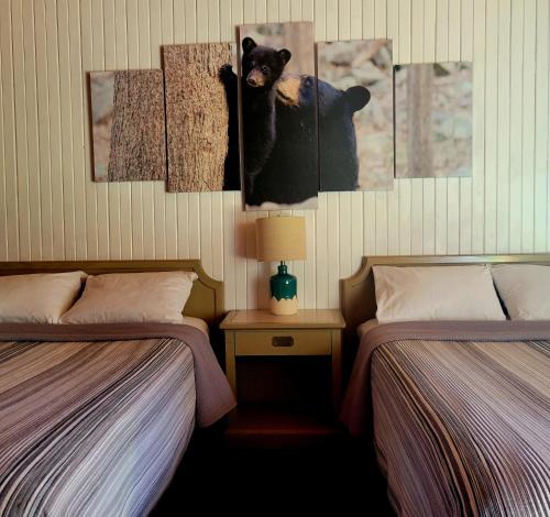 Wawa Cabin | High Falls Motel & Cabins