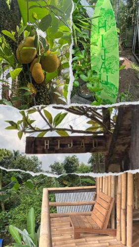 Mataram Hostel | hijau