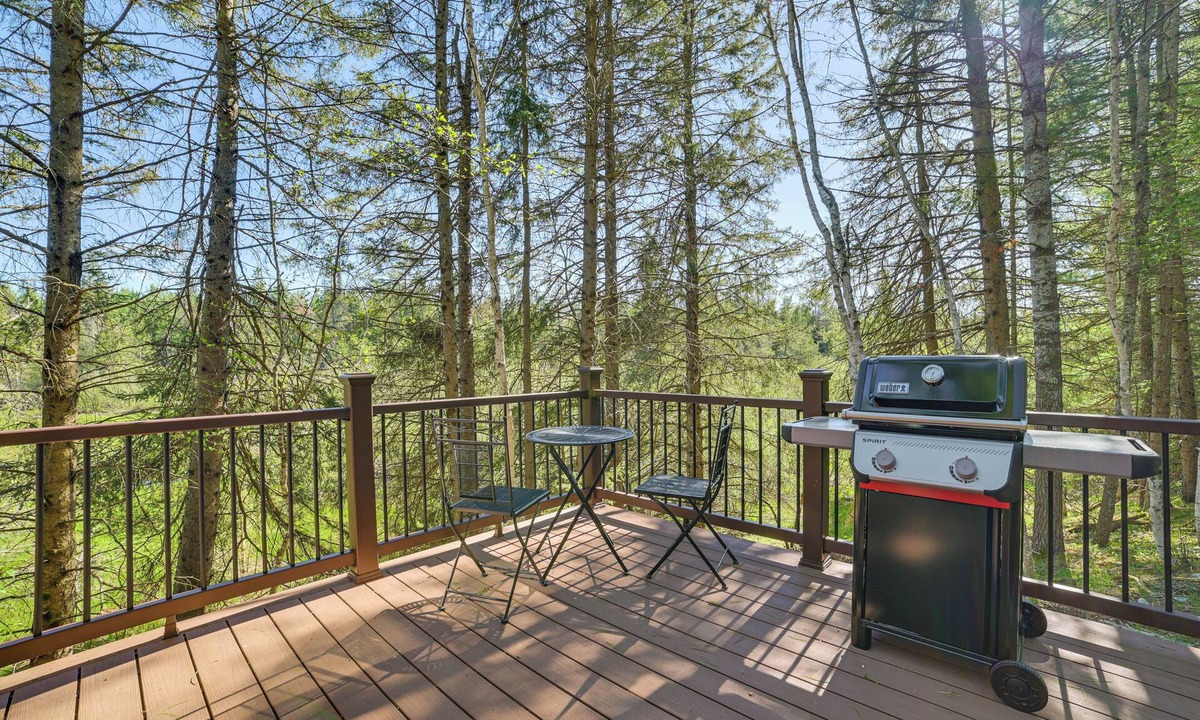 Vanderbilt Cabin | Hike, Fish & Unwind: Riverfront Vanderbilt Cabin