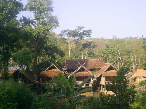 Mae Yao House | Hill Tribe Art House (Lahu & Akha Homestay)