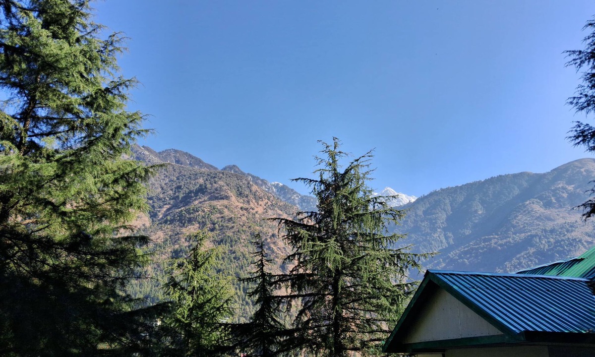 Dharamshala Hostel | Himalayan Hostel