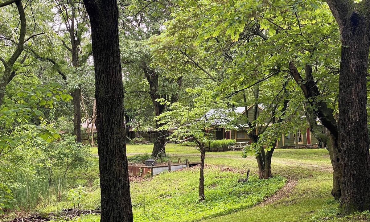 Springfield House | Historic Charming private 1-BR Cottage in Springfield Tucked away in the Trees!