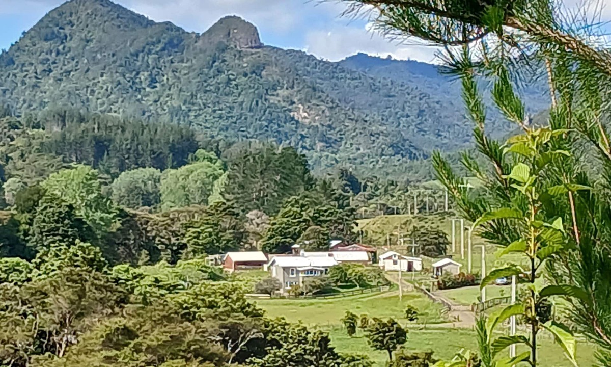 Coromandel Forest Park House | Historic Devcich Farm - Homestead