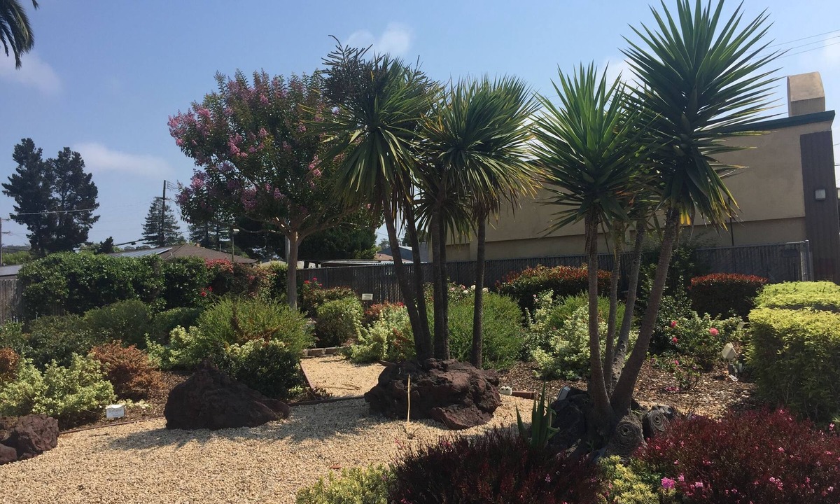 Eastside Santa Cruz Hotel | Hitching Post Studios Inn