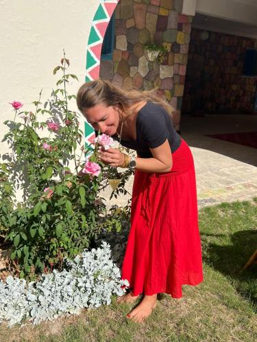 Abu Simbel Hotel | Hllol Hotel Abu Simbel