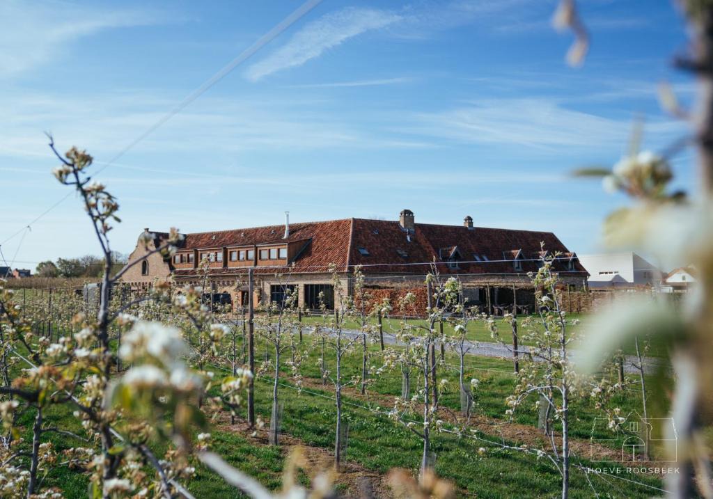 Eikot Bed & Breakfast | Hoeve Roosbeek