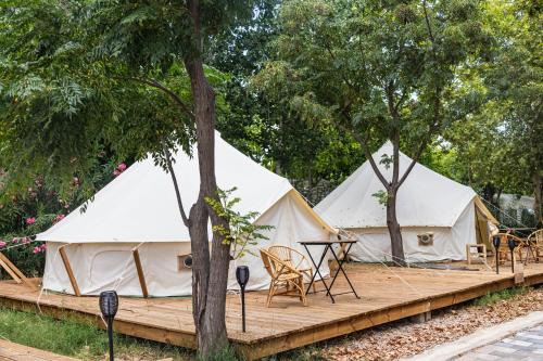 Daimuz Other | HolaCamp Gandía