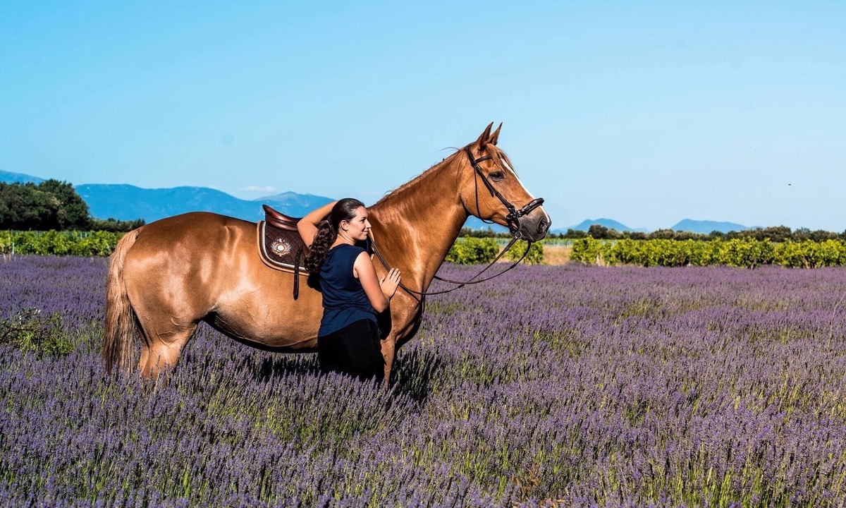 Saint-Paul-Trois-Chateaux House | Holiday Home 'Gîte Du Poney Fringant' with Private Terrace, Private Garden and Wi-Fi