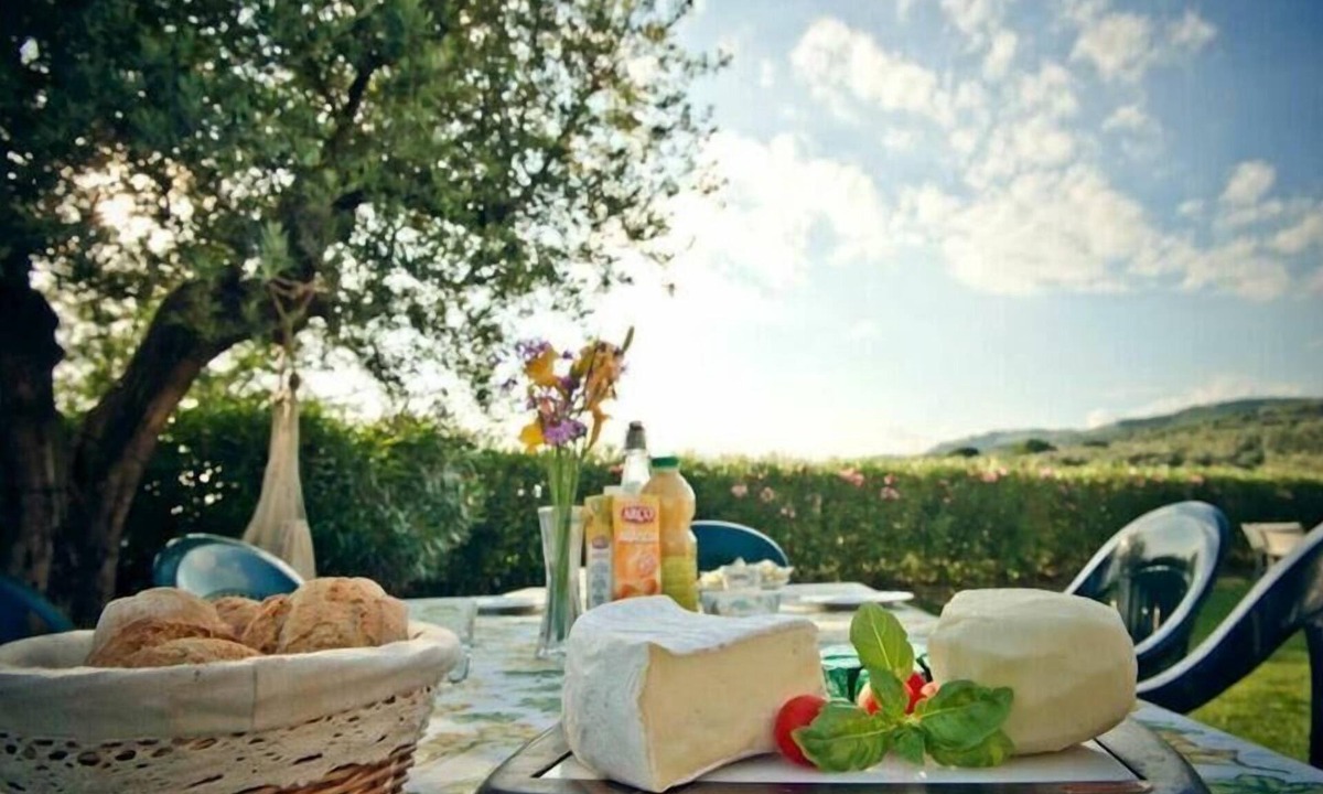 Lamporecchio House | Holiday house for 4 persons approx. 90 qm in Lamporecchio, Tuscany (Pistoia Province)