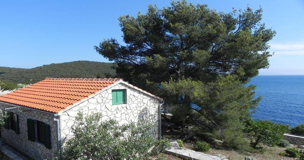 Donje Selo House | Holiday house Maslinica for 1 - 4 persons with 2 bedrooms - Holiday home
