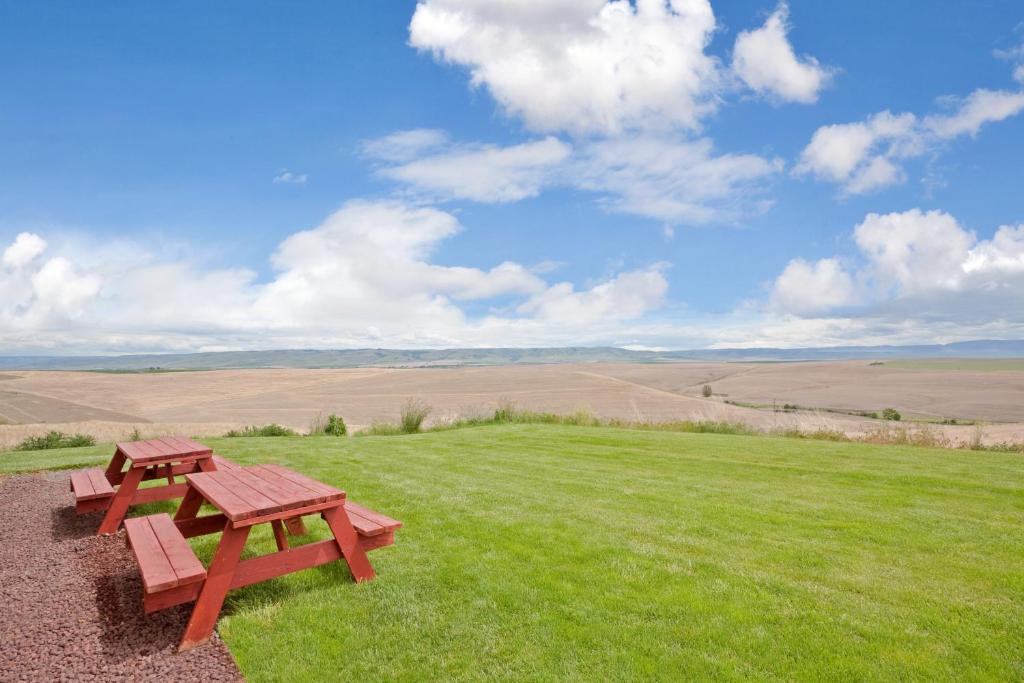 Pendleton Hotel | Holiday Inn Express Pendleton by IHG