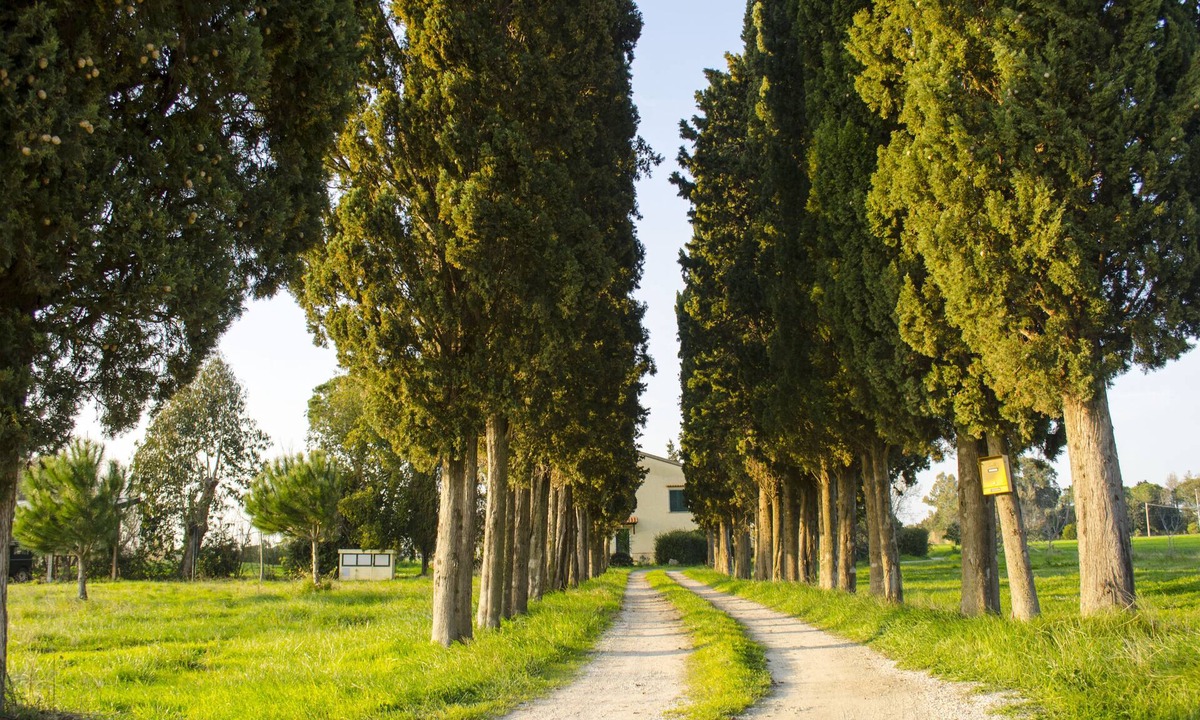Castagneto Carducci Apartment | Holidays in Tuscany with family