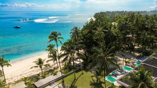 Katiet Resort | Hollow Tree's Resort