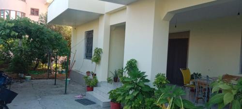Kamez House | Home