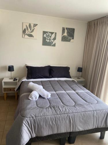 Temuco Apartment | Home Lucerna