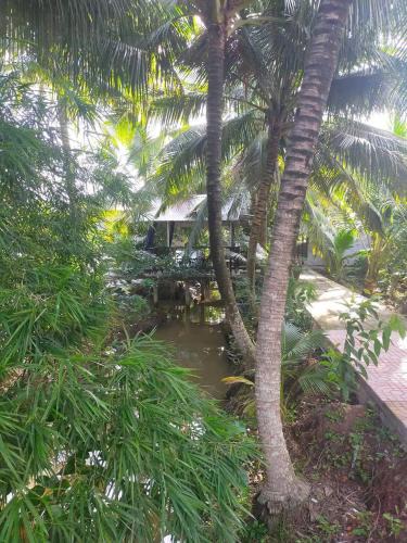 Vinh Long House | Home Vuon Dua