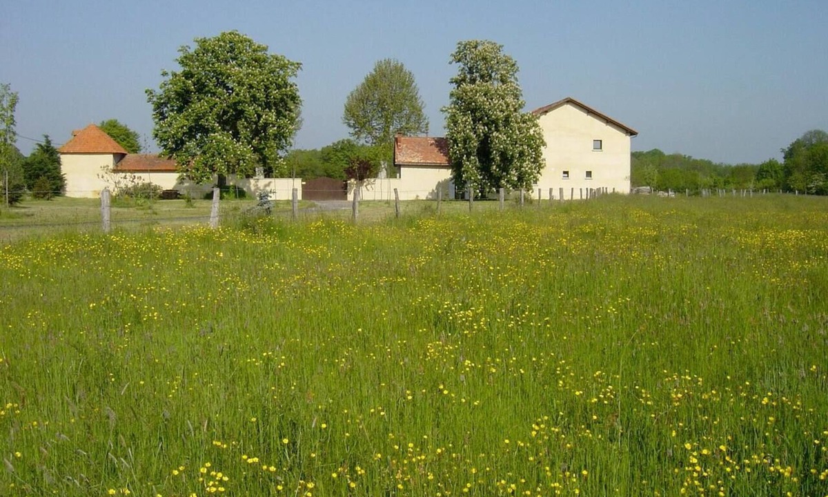 Culhat House | Homerez - Beautiful house for 7 ppl. with terrace at Culhat