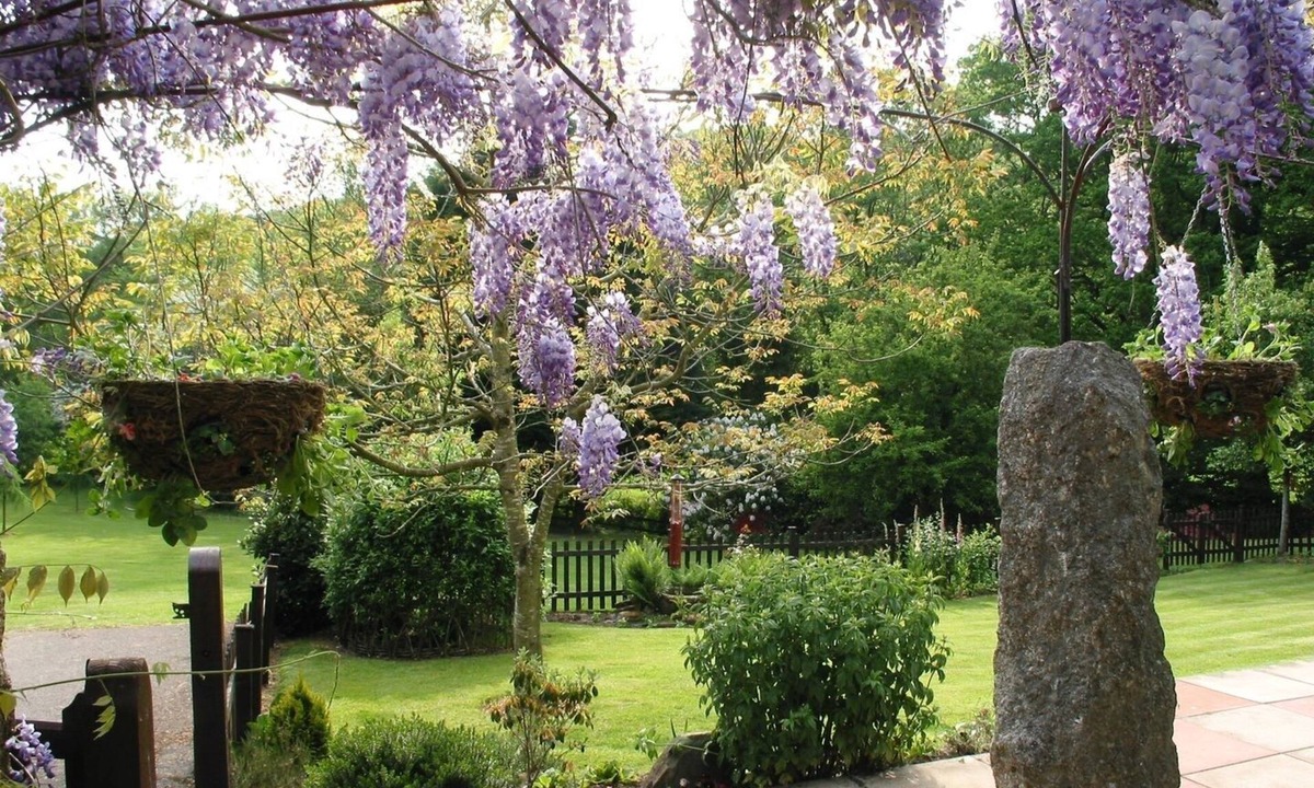 Bridestowe Cottage | Honey House