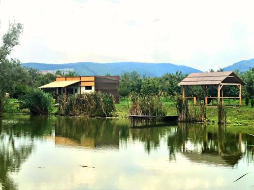 Vadu Crisului Other | Honey Tiny Home
