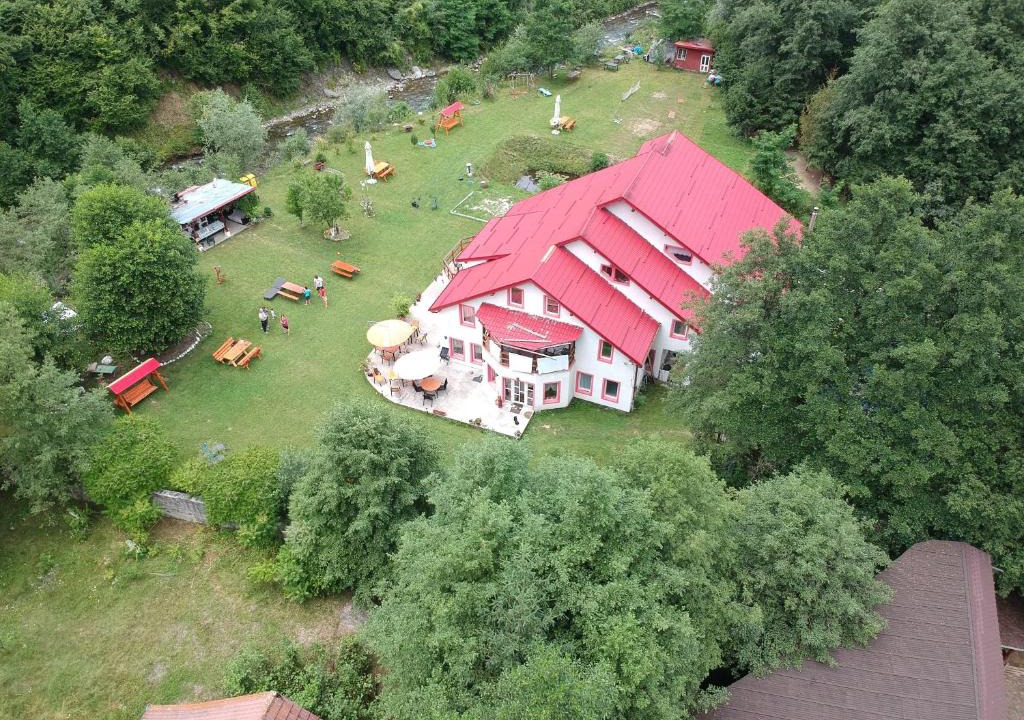 Avrig House | Horia
