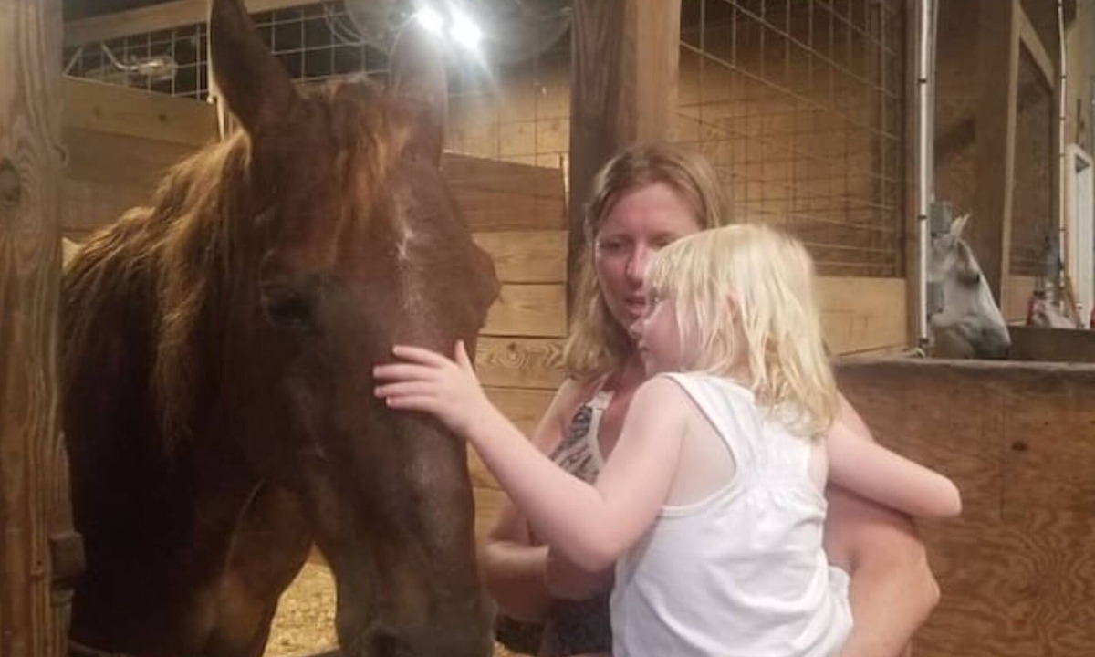 Fellowship House | Horseback Riding Ranch Quality RV; Horses For All Ages and Levels on 25 acres!