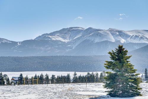 Divide Apartment | Horses & Trails On-Site: Pikes Peak Ranch Retreat