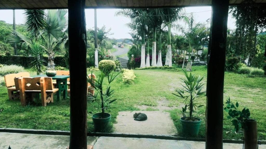 Restrepo Hostel | Hospedaje la diana