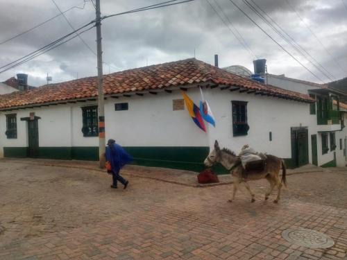 Mongui House | Hospedaje La Lomita