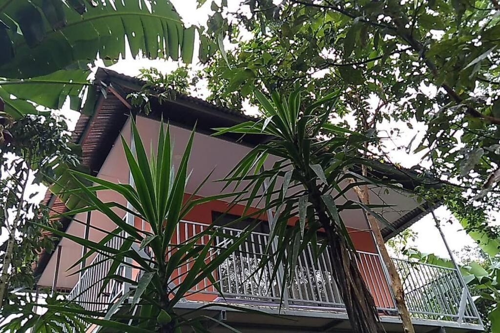 Katira Apartment | Hospedaje Rio Celeste Katira, Habitación privada