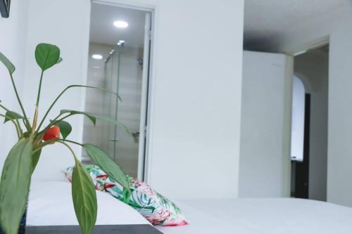 San Fernando House | Hospedaje s o s