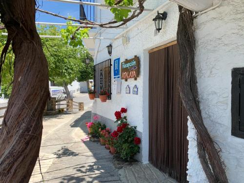 Capileira House | Hostal Atalaya