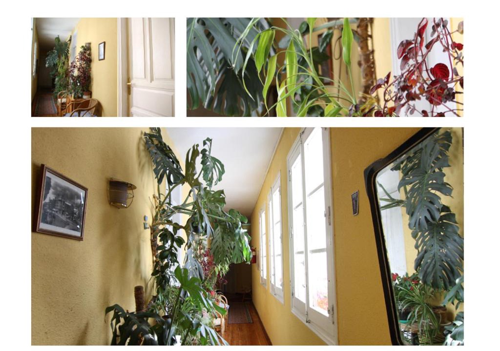 Leon City Centre House | Hostal Bayón