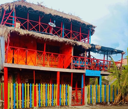 Monitos House | HOSTAL BELLEZA TROPICAL