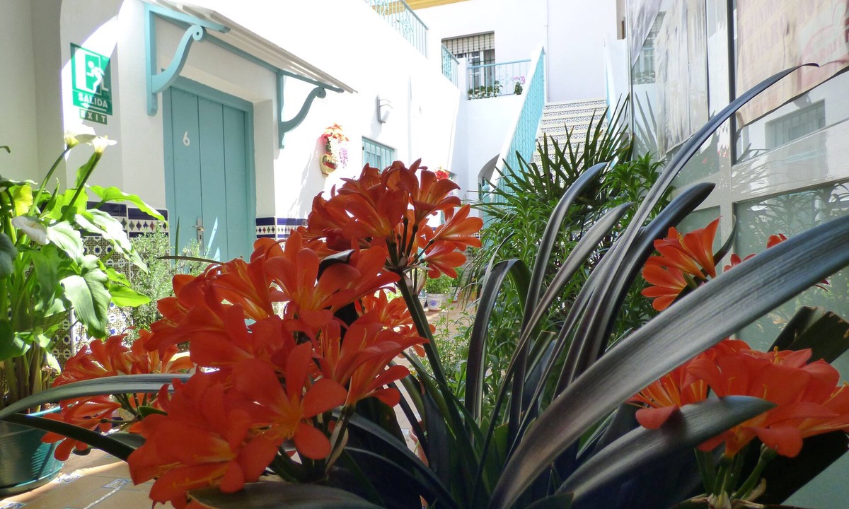 Sanlucar de Barrameda Hostel | Hostal Campo Nuevo