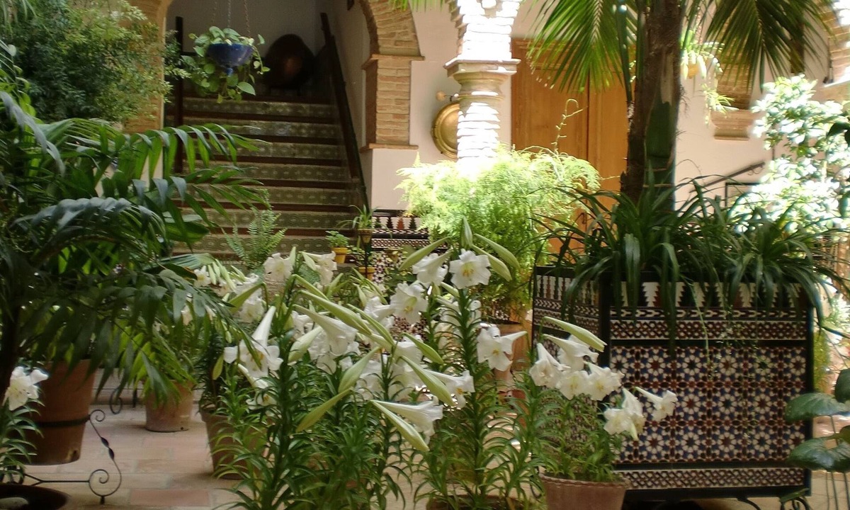 Carmona Hostel | Hostal Comercio