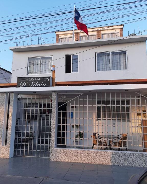 Arica Bed & Breakfast | Hostal D' Silvia