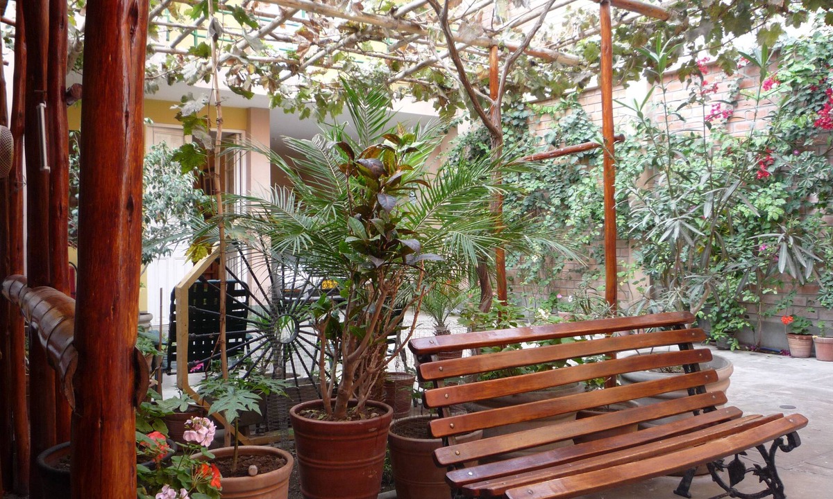 Pisco Hostel | Hostal Tambo Colorado