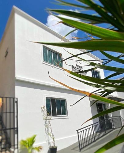 Fatima Hostel | Hostel Borogodó