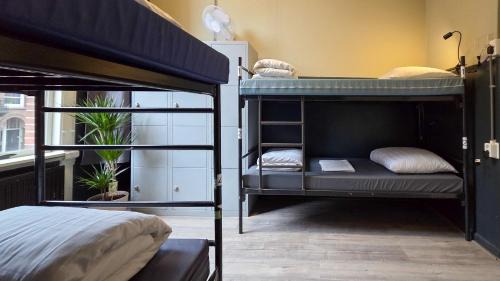 Museum Quarter Hostel | Hostel Cosmos Amsterdam