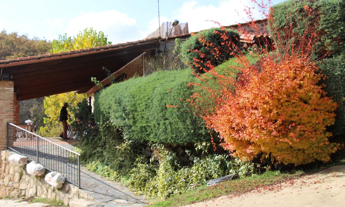 Cuacos de Yuste Hostel | Hostel El Lago Caceres