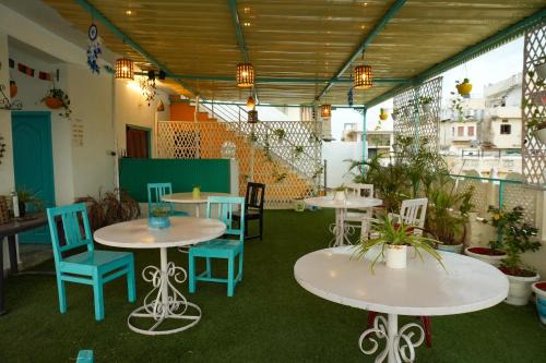 Udaipur Hostel | Hostel Mama