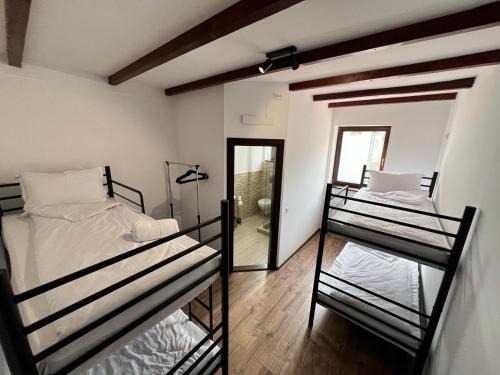 Richis Hostel | Hostel Omul Verde