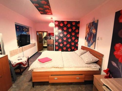 Alesd House | Hostel Pascalis Alesd