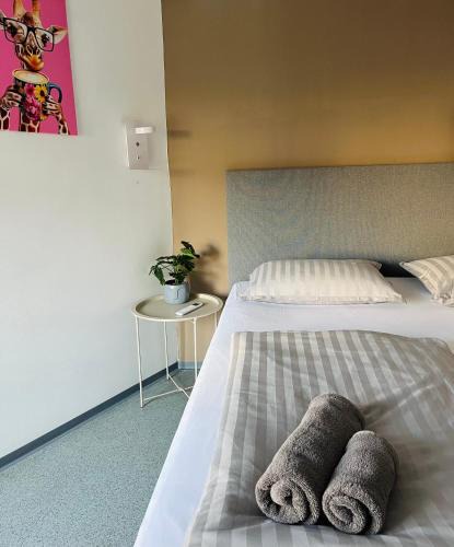 Nova Gorica Hostel | Hostel POINT Nova Gorica, Self Check-In with code access