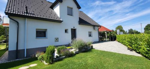 Ruse Bed & Breakfast | HOSTEL Postaja
