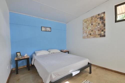 Tamarindo House | Hostel Real