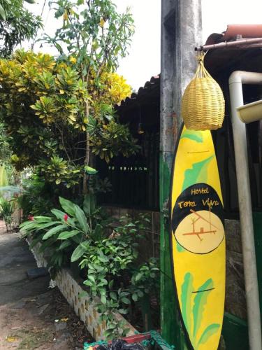 Pipa Hostel | Hostel Terra Viva