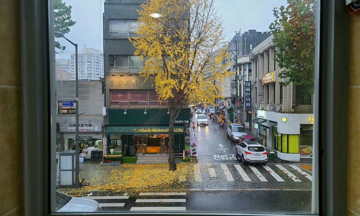 Jongno Hostel | Hostel Tommy